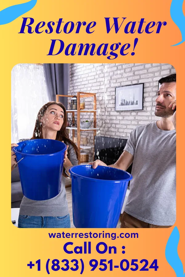 water restoration Quality Disaster Cleanup Network Malvern