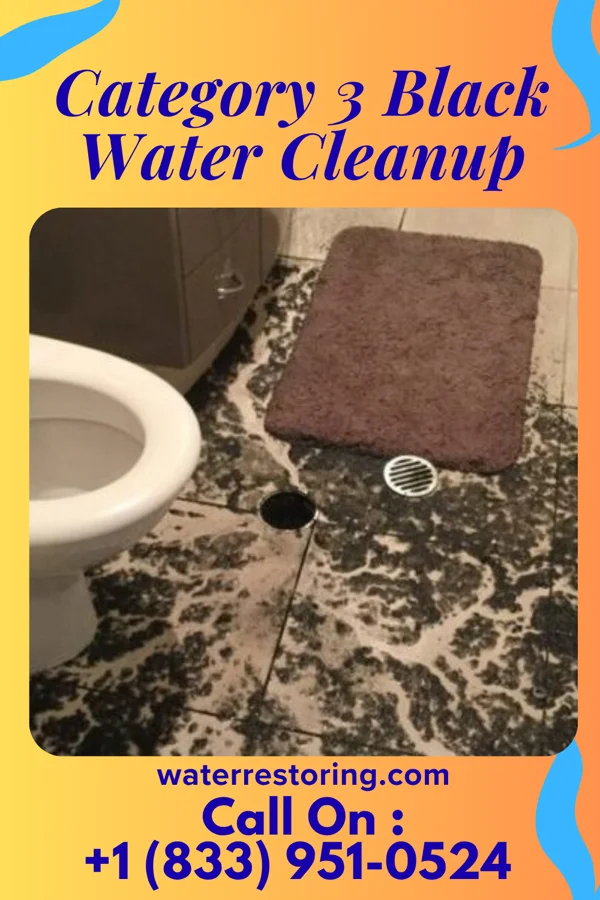 Category 3 Black Water Cleanup in Malvern, PA