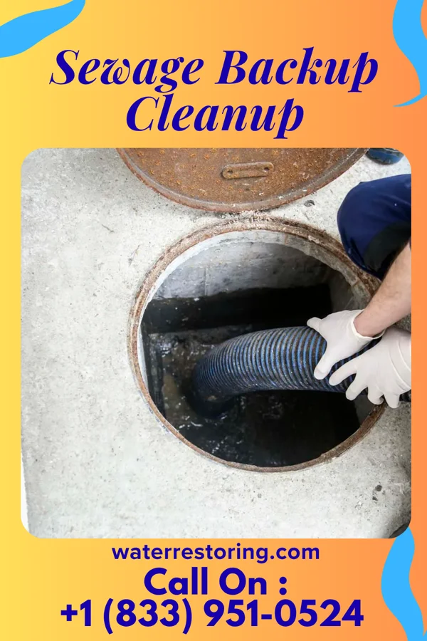 Sewage Backup Cleanup in Malvern, PA